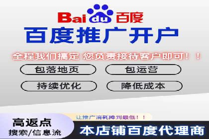 百度推广操作指南：案例解析关键词优化